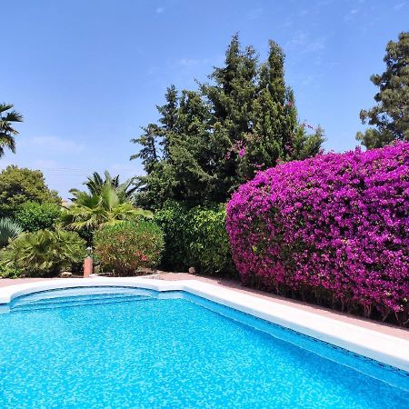 Villa With Private Pool, Bbq, Fitness Center & Sauna San Vicente Raspeig Exterior foto