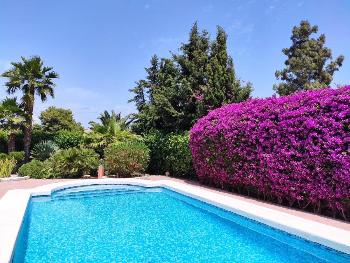 Villa With Private Pool, Bbq, Fitness Center & Sauna San Vicente Raspeig Exterior foto