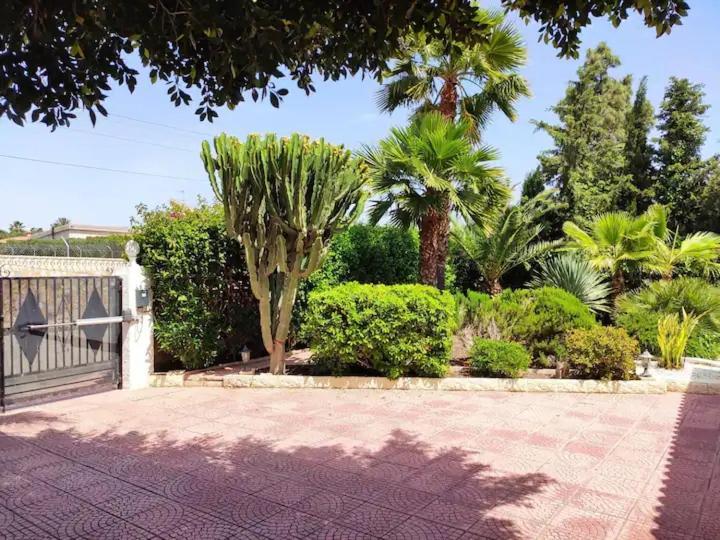 Villa With Private Pool, Bbq, Fitness Center & Sauna San Vicente Raspeig Exterior foto